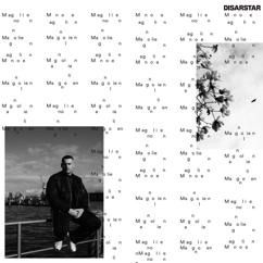 Disarstar: Magnolien