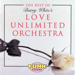 The Love Unlimited Orchestra: My Sweet Summer Suite (12" Version) (My Sweet Summer Suite)