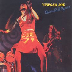 Vinegar Joe: It's Getting To The Point