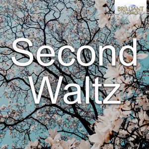 Theodore Kuchar, National Symphony Orchestra of Ukraine: VII. Waltz No. 2