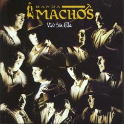 Banda Machos: Vivir sin ella