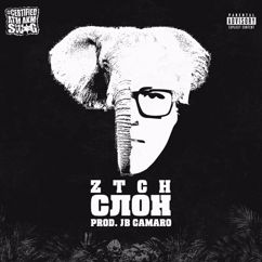 ZTCH: Слон
