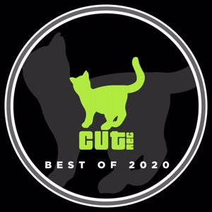Various Artists: Best of 2020