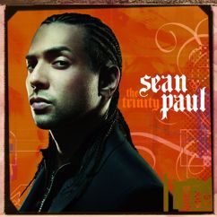 Sean Paul: Head In The Zone (Album Version)