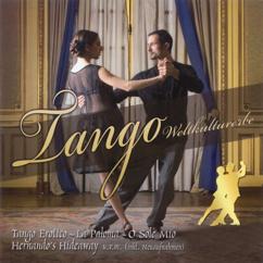 Tango Orchester Alfred Hause: Oh mia bell Napoli