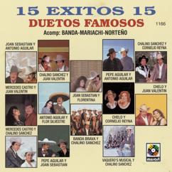 Various Artists: 15 Éxitos: Duetos Famosos