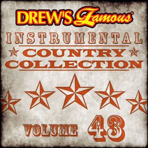 The Hit Crew: Drew's Famous Instrumental Country Collection (Vol. 43)