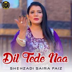 Shehzadi Saira Faiz: Dil Tede Naa