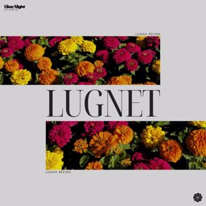 Lugna Resten: Lugnet