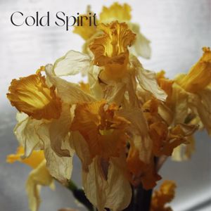 Mr. Cold Throne: Cold Spirit
