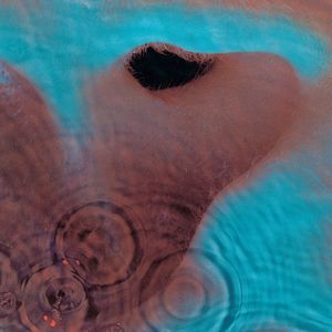 Pink Floyd: Fearless