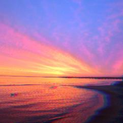 BudgieMint: falling asleep