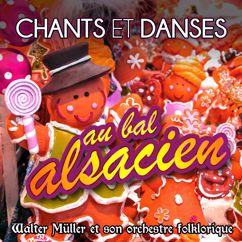 Walter Müller et Son Orchestre Folklorique: Chants et danses au bal alsacien