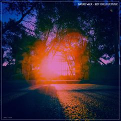 Various Artists: Nature Walk - Best Chillout Music