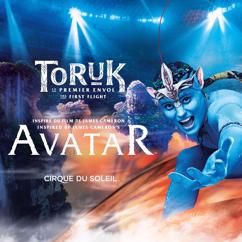 Cirque du Soleil: The Toruk