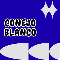 welin domi: conejo blanco
