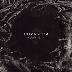 Insomnium: Wail of the North