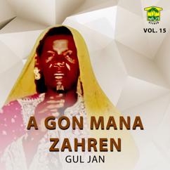 Gul Jan: A Gon Mana Zahren, Vol. 15