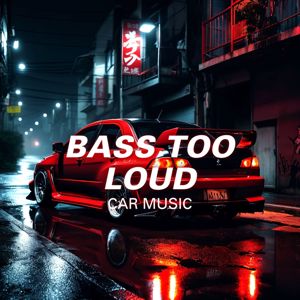 Car Music: Bass Too Loud