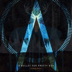 A Bullet For Pretty Boy: Come Clean