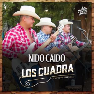 Los Cuadra: Nido Caído