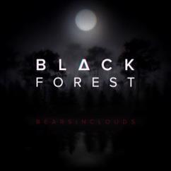 Bearsinclouds: Black Forest