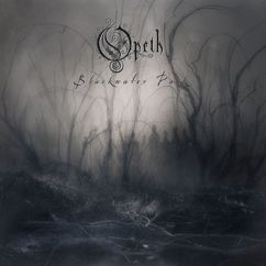 Opeth: Patterns in the Ivy
