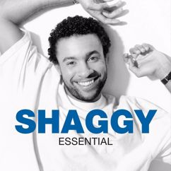 Shaggy: Something Different (Radio Edit)