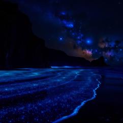 Relaxed Mind: Silent Frequency