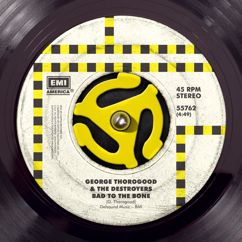 George Thorogood & The Destroyers: Bad To The Bone (Album Version)