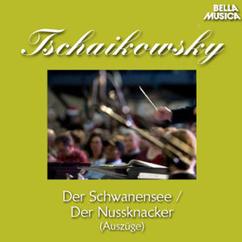 Bamberger Symphoniker, Franz Berger, Janos Kulka: Schwanensee für Orchester und Violine, Op. 20 A: No. 3, Tanz der Schwäne