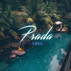 Айва: Prada