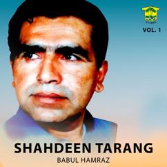 Babul Hamraz: Shahdeen Tarang, Vol. 1