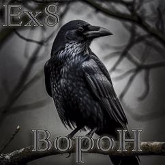 Эксэйт: Ворон