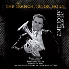 Anthony Galinier with Paris Brass Band: Variations on a Welsh Theme De Peter Kneale