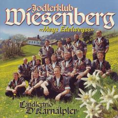 Jodlerklub Wiesenberg: Meys Edelweyss