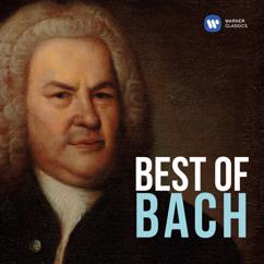 Richard Egarr: Bach, JS: French Suite No. 5 in G Major, BWV 816: IV. Gavotte