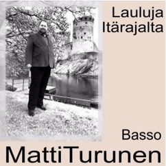 Matti Turunen: Sinisellä sillalla