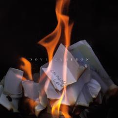 Dove Cameron: Hello My Old Lover