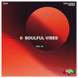 Various Artists: Soulful Vibes Vol. 16