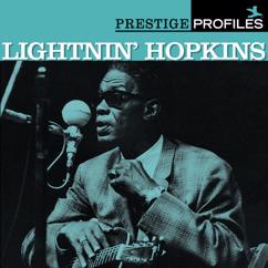 Sam "Lightnin'" Hopkins: Blues In The Bottle (Album Version) (Blues In The Bottle)