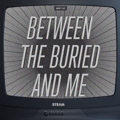 Between The Buried And Me: Shevanel Take 2