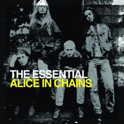 Alice In Chains: Rain When I Die