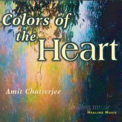 Amit Chatterjee: Colors of the Heart