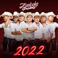 Grupo Zúmbale Primo: Esa Cobardía