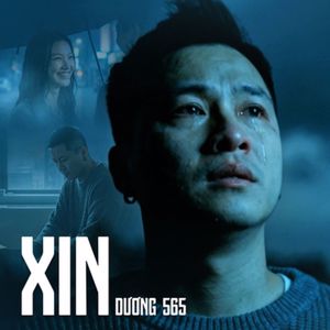 Dương 565: Xin