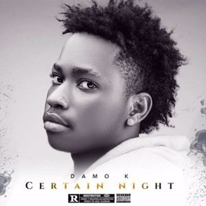 Damo K: Certain Night