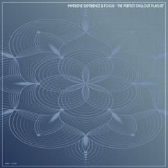Various Artists: Immersive Experience and Focus - The Perfect Chillout Playlist