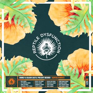 Doorly, Colour Castle, Misingo: Jaspers Keys