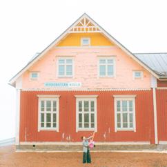 EEMELI: Sädesienikoulu